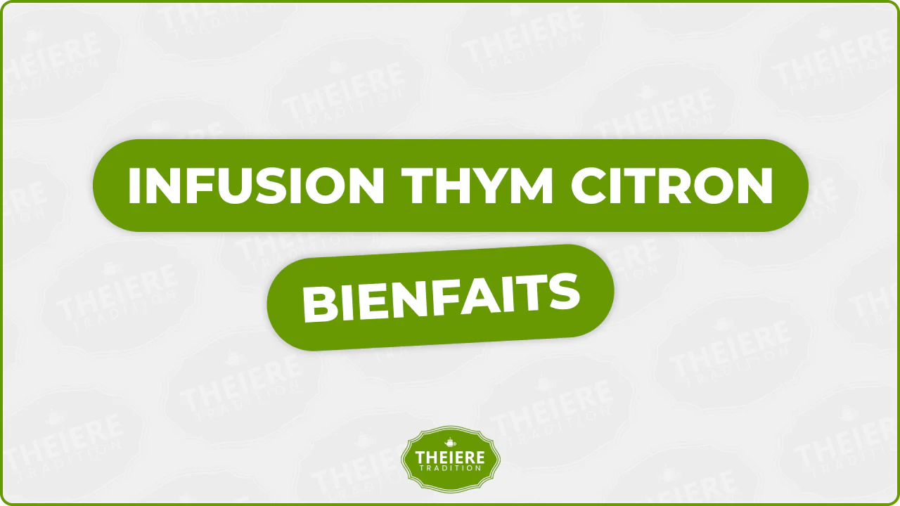 Infusion thym citron bienfaits : 5 vertus pour santé