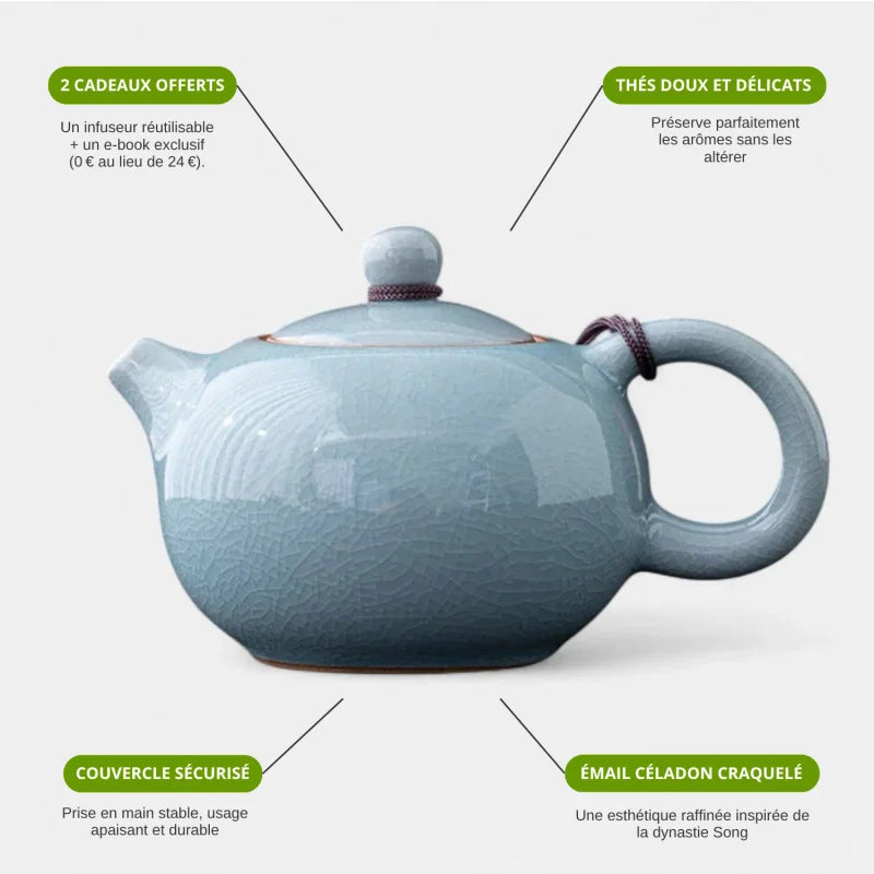 Théière Chinoise Porcelaine Bleue