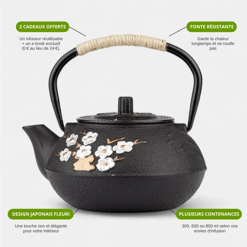 Théière En Fonte Avec Infuseur