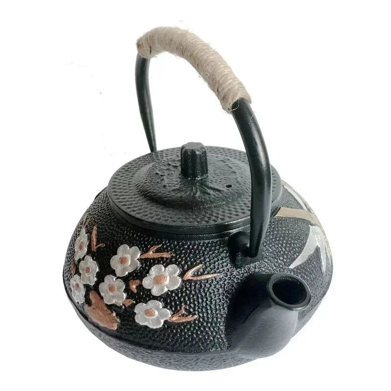 Théière En Fonte Avec Infuseur