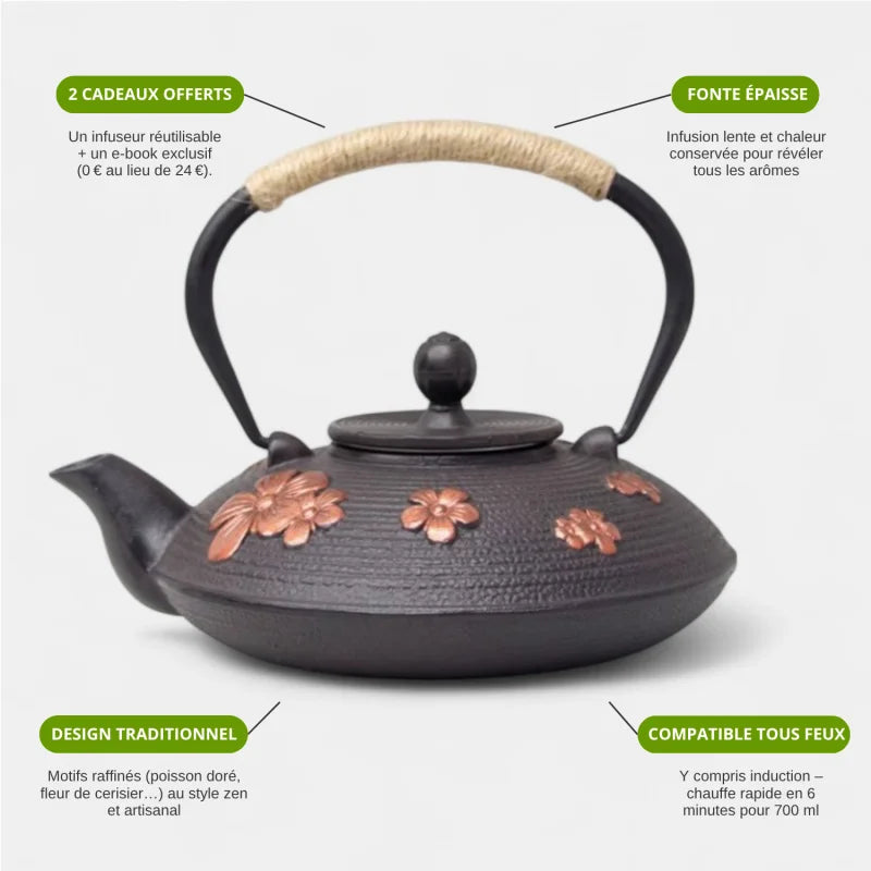 Théière En Fonte Chinoise