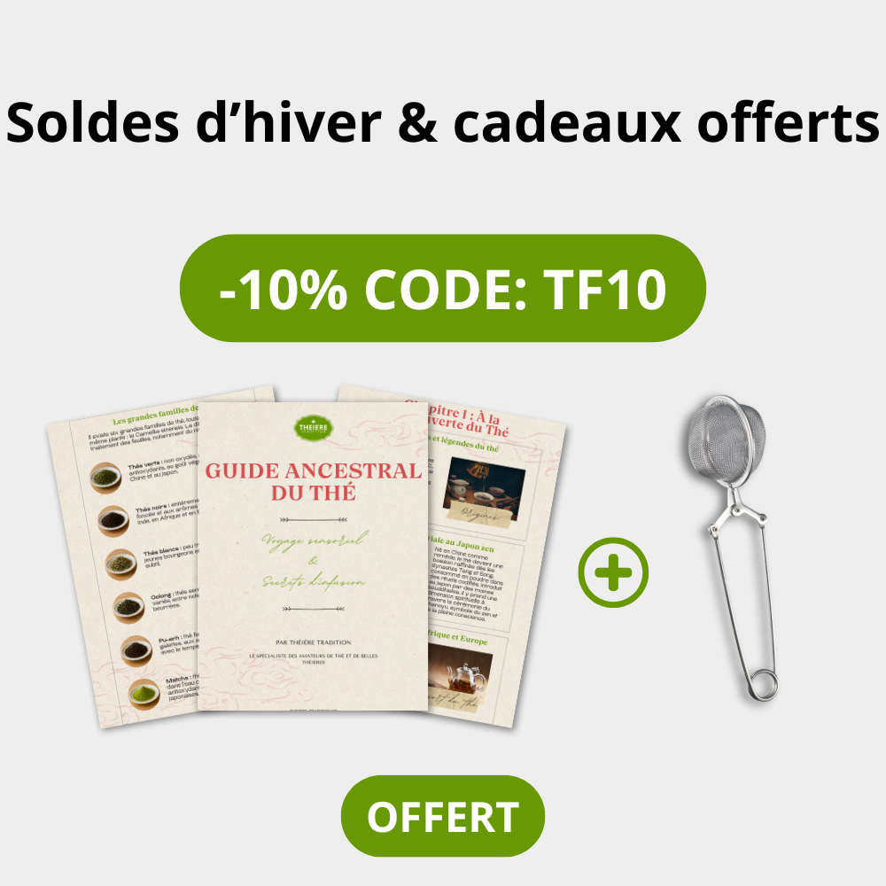 Théière Marocaine Design