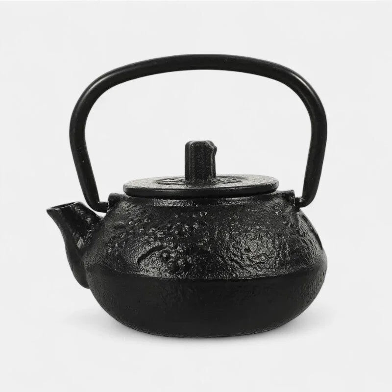 Petite Théière En Fonte