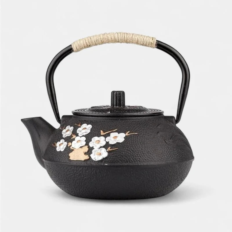 Théière En Fonte Avec Infuseur