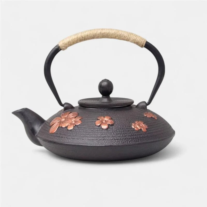 Théière En Fonte Chinoise